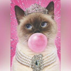 Live Show Notification